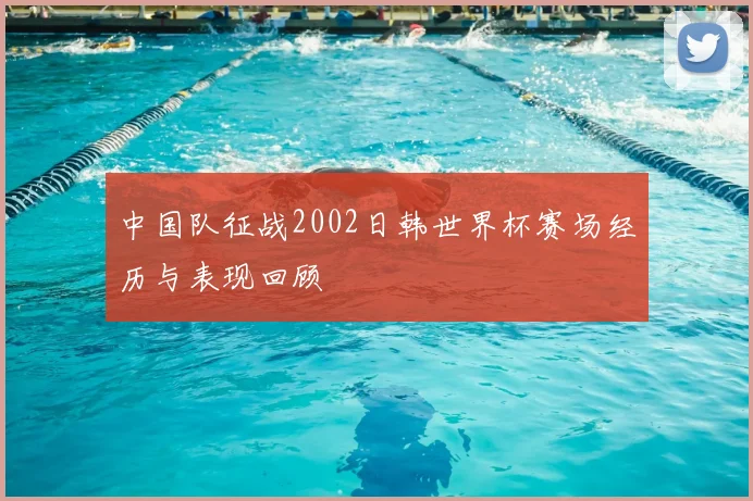 中国队征战2002日韩世界杯赛场经历与表现回顾