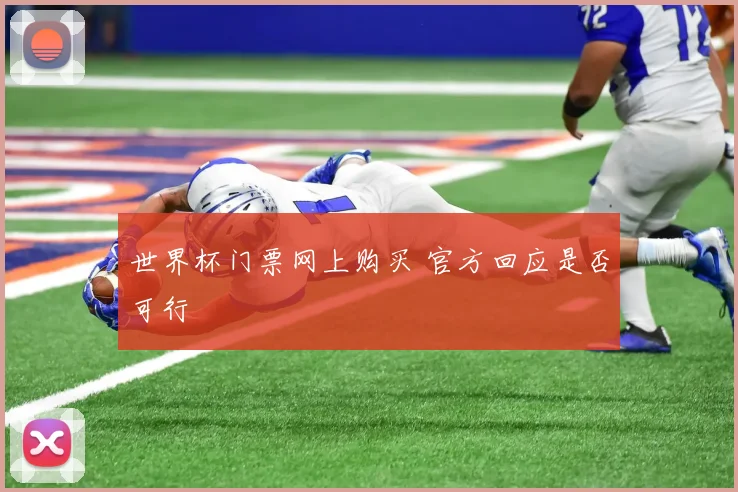 世界杯门票网上购买 官方回应是否可行