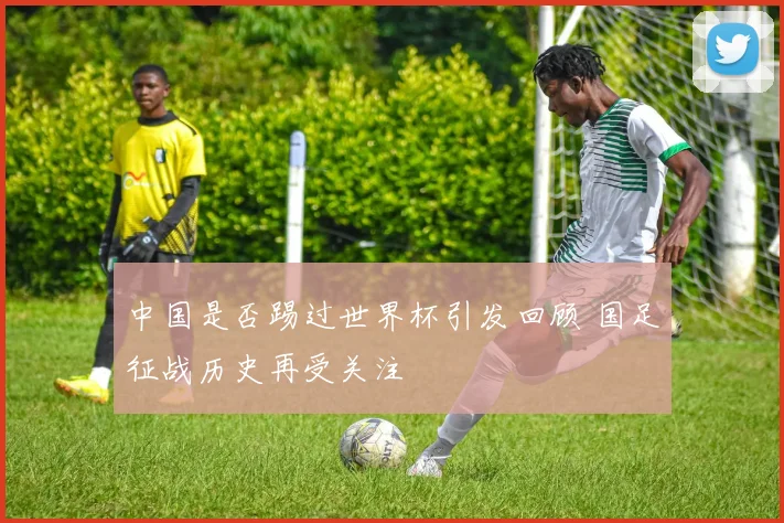 中国是否踢过世界杯引发回顾 国足征战历史再受关注