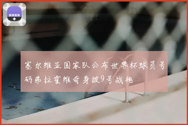 塞尔维亚国家队公布世界杯球员号码弗拉霍维奇身披9号战袍