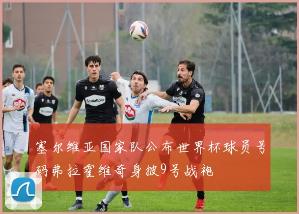 塞尔维亚国家队公布世界杯球员号码弗拉霍维奇身披9号战袍