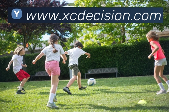 星空体育app官网登录发展历程